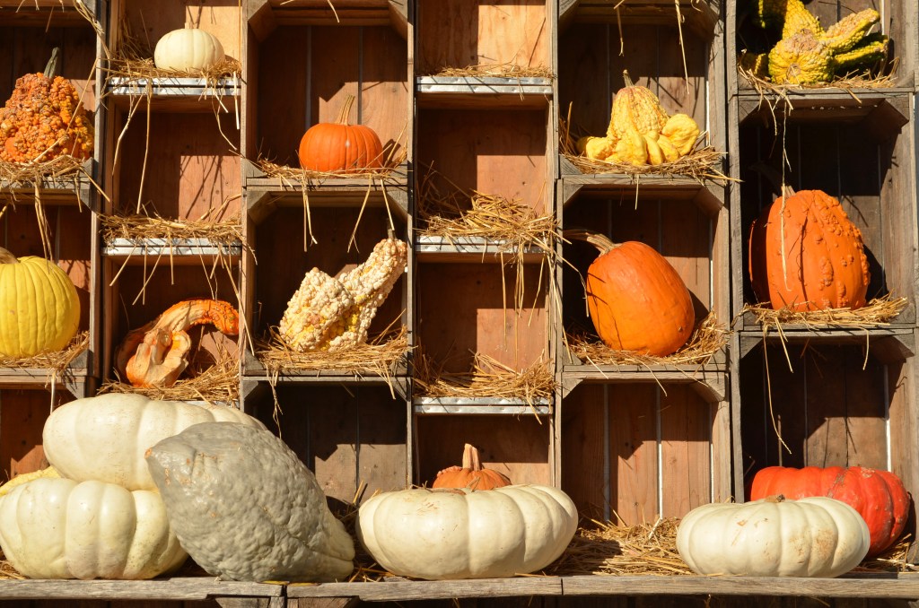 30 Day Digital Photography Challenge: Week Two&nbsp;Update