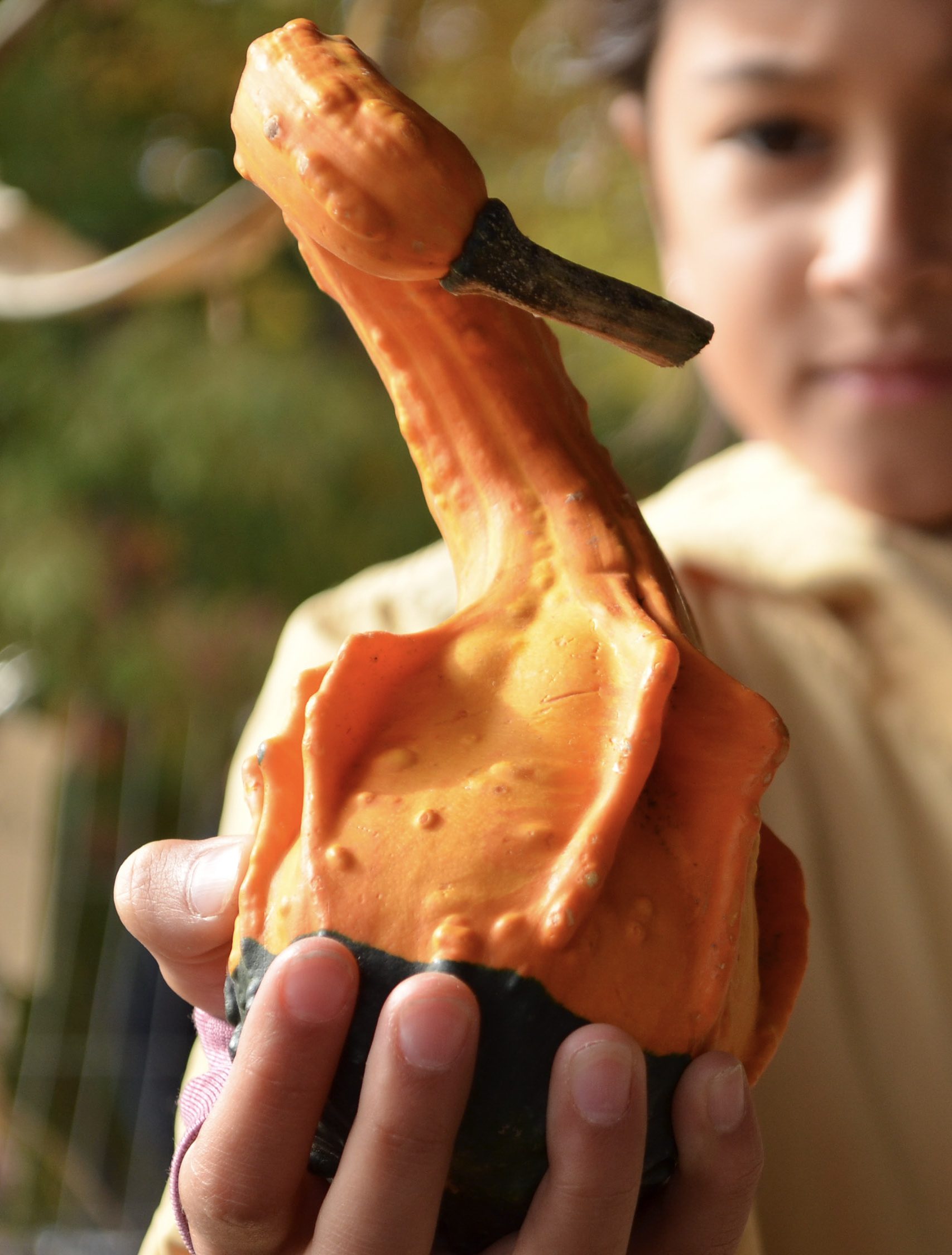 A girl holds a gourd