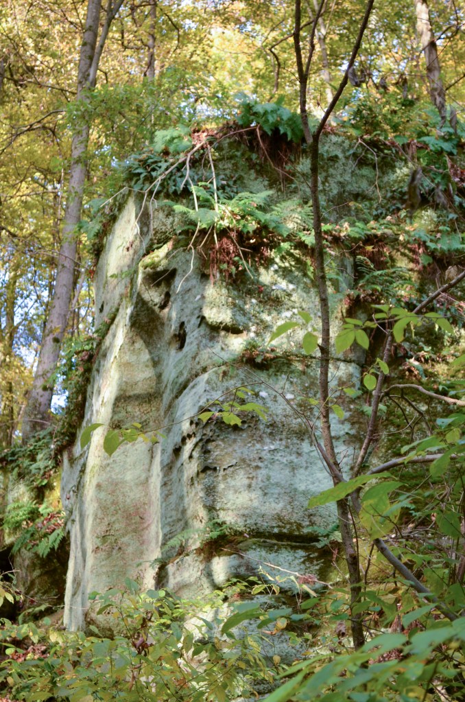 Cliff face in Liberty Park, Summit Country, Cleveland.