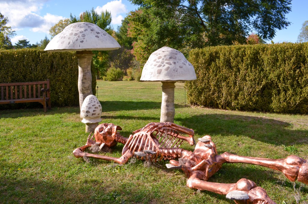 30-Day Digital Photography Challenge: Week One&nbsp;Update