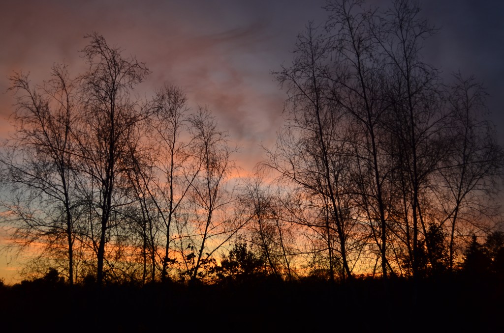 30-Day Digital Photography Challenge: Week Four&nbsp;Update