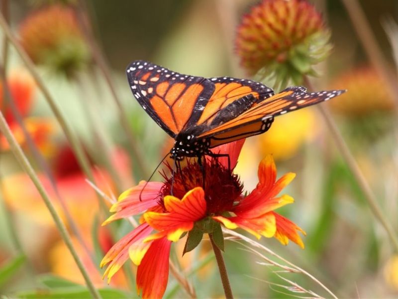 Fun Ways to Dabble This&nbsp;Spring