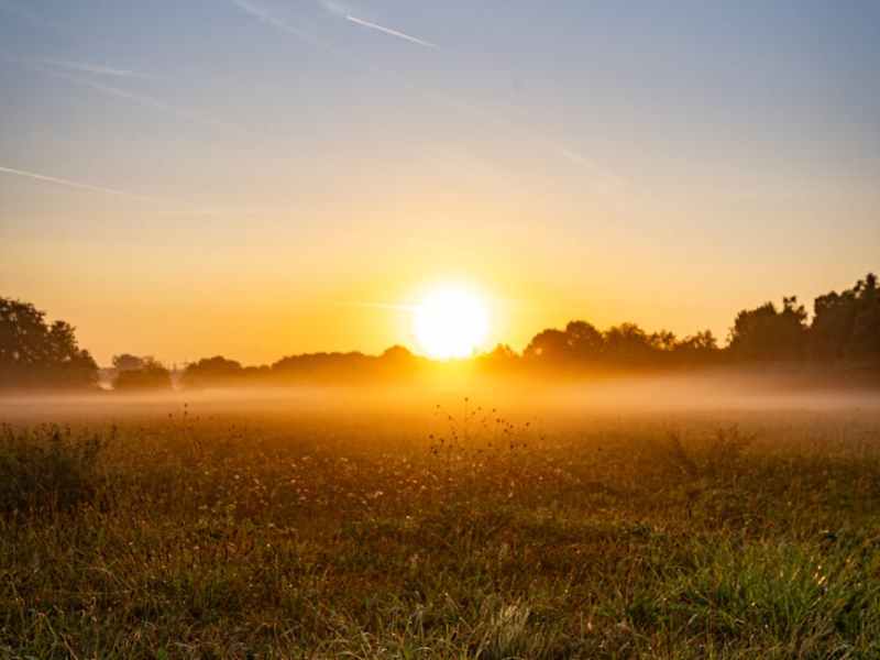 Spring Equinox Activities: Explore the Science and Traditions of&nbsp;Spring