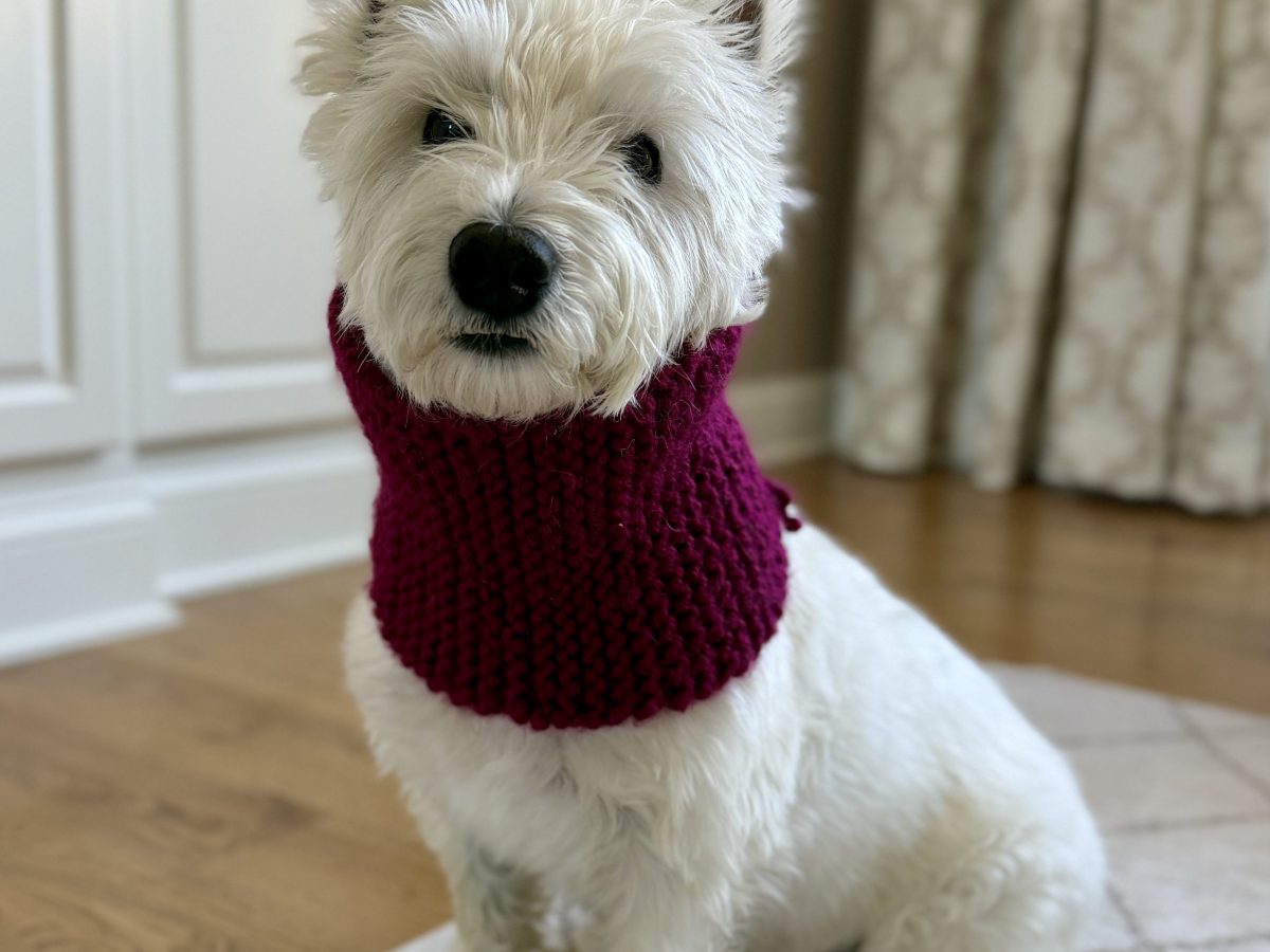 The Little Maroon Scarf That Started My Knitting&nbsp;Journey